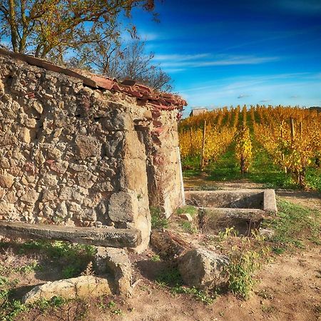 Condrieu Comme A La Maison Exteriér fotografie