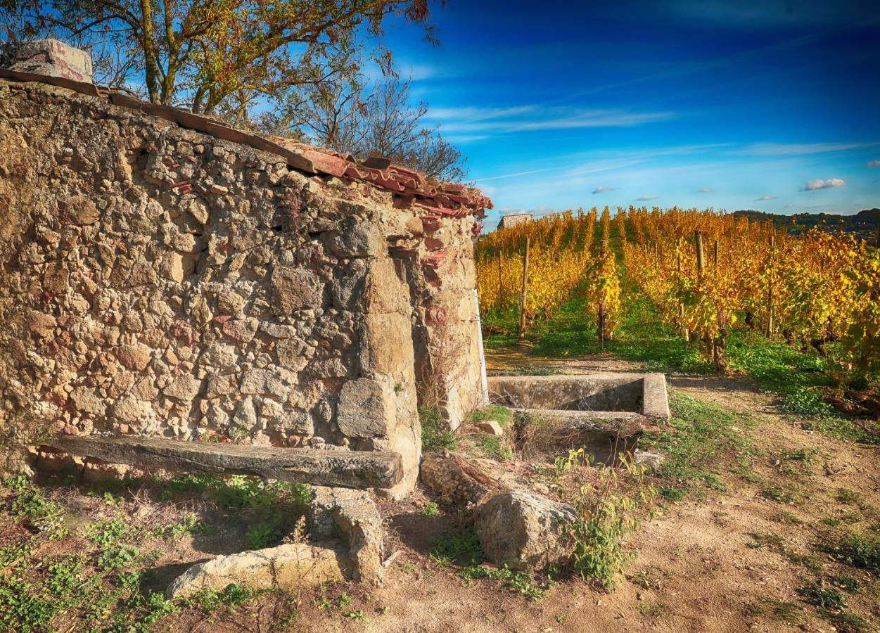 Condrieu Comme A La Maison Exteriér fotografie